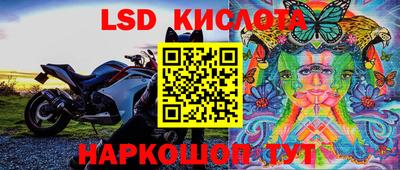 стаф Славянск-на-Кубани