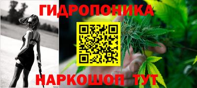 гашиш Сланцы