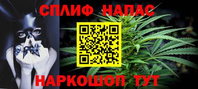 apvp Славгород