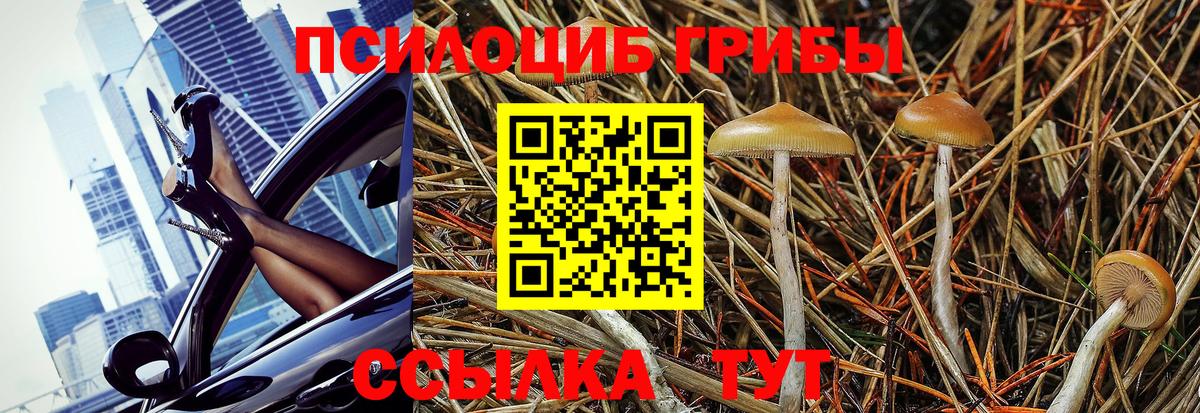 Псилоцибиновые грибы Psilocybine cubensis  Галлюциногенные грибы прущие грибы  Вход с VPN  Петрозаводск 