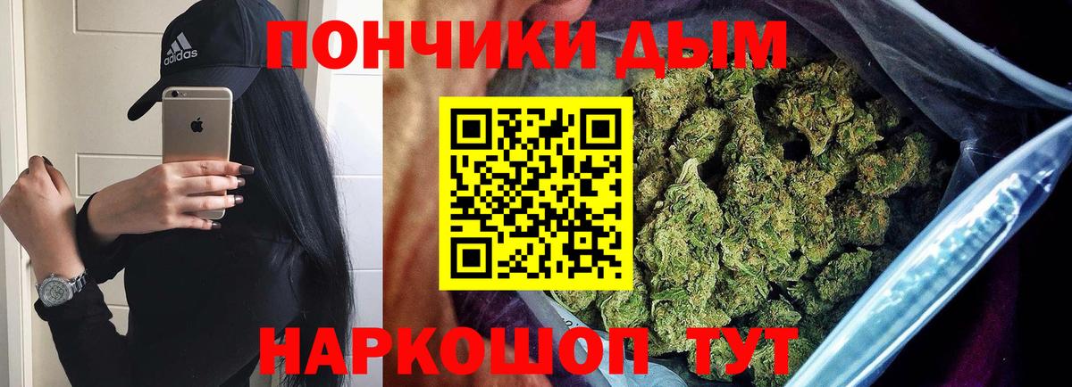 Шишки марихуана планчик Петрозаводск